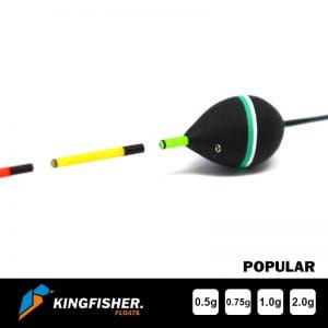 Pole Float - Kingfisher "Popular" - Image 5