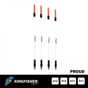Waggler Float - Kingfisher "Proud"